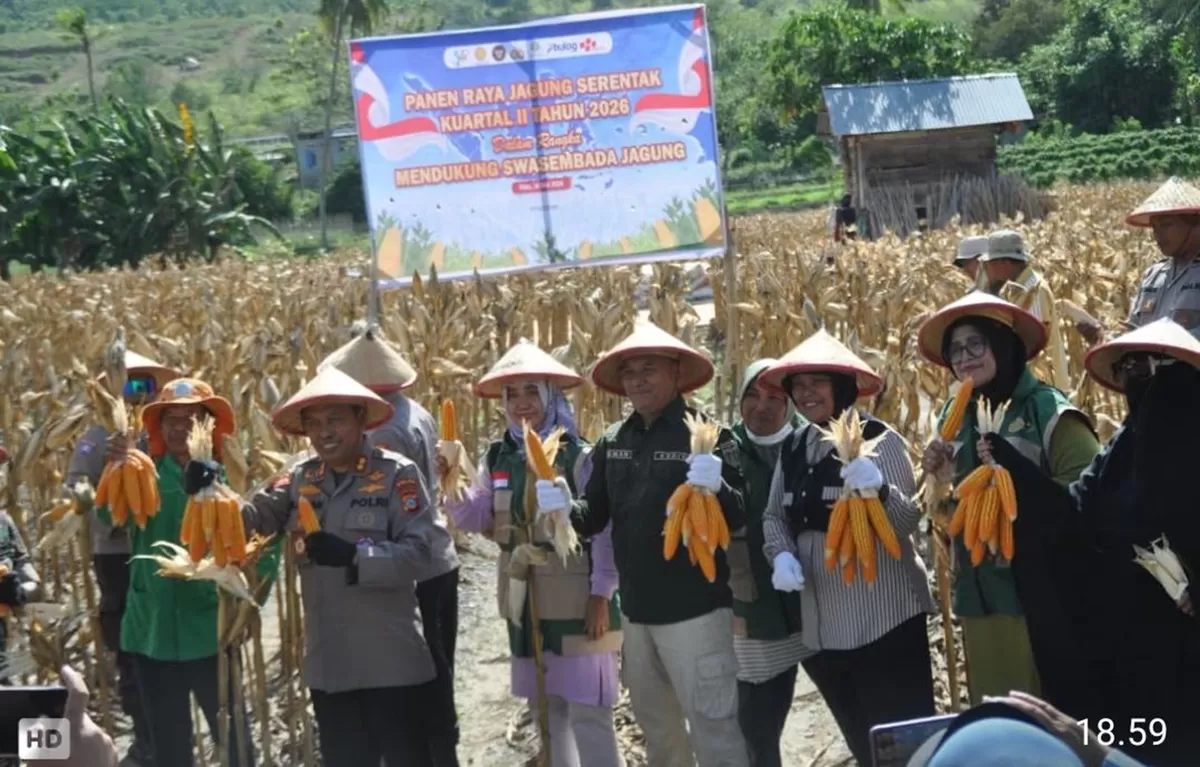 Strategi 5 Langkah Efektif Dorong Hasil Panen Melimpah Bagi Petani Kota Palu Tahun 2026